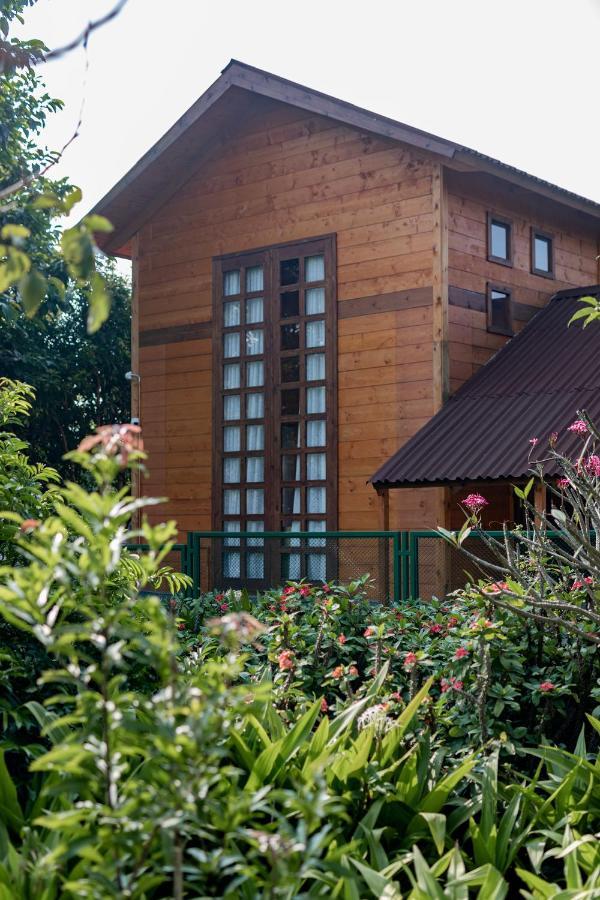The Pine Loft Villa Bangalore Ngoại thất bức ảnh